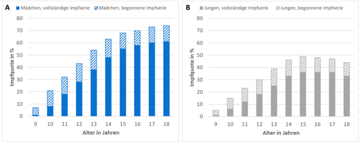 Altersabhängige HPV-Impfquoten bei Mädchen und Jungen in Deutschland im Jahr 2024.