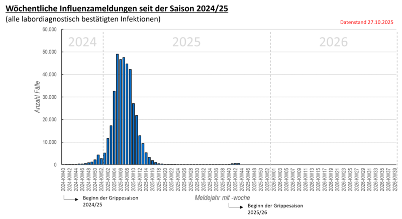 Säulendiagramm wöchentliche Influenzameldungen seit in der Saison 2024/25