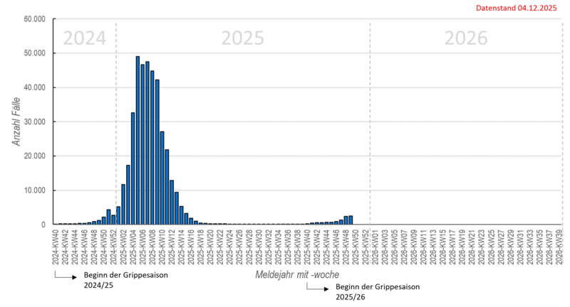Säulendiagramm wöchentliche Influenzameldungen seit in der Saison 2024/25