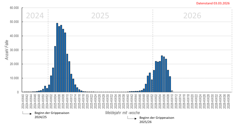 Säulendiagramm wöchentliche Influenzameldungen seit in der Saison 2024/25