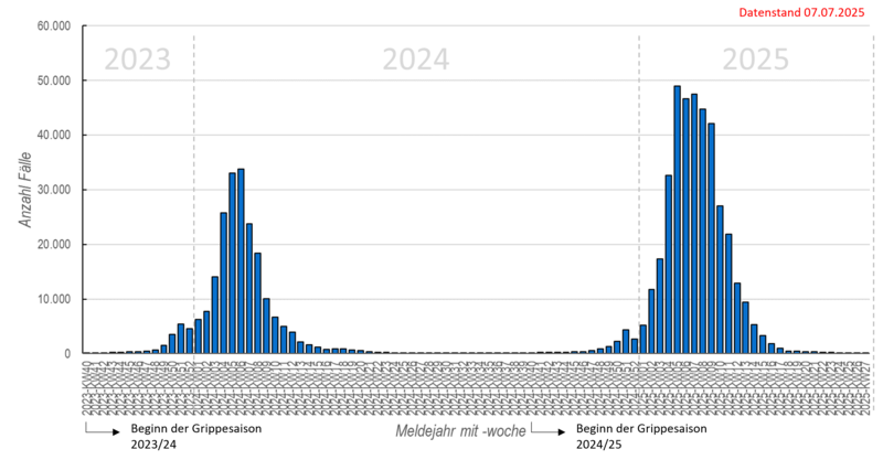Säulendiagramm wöchentliche Influenzameldungen seit in der Saison 2023/24