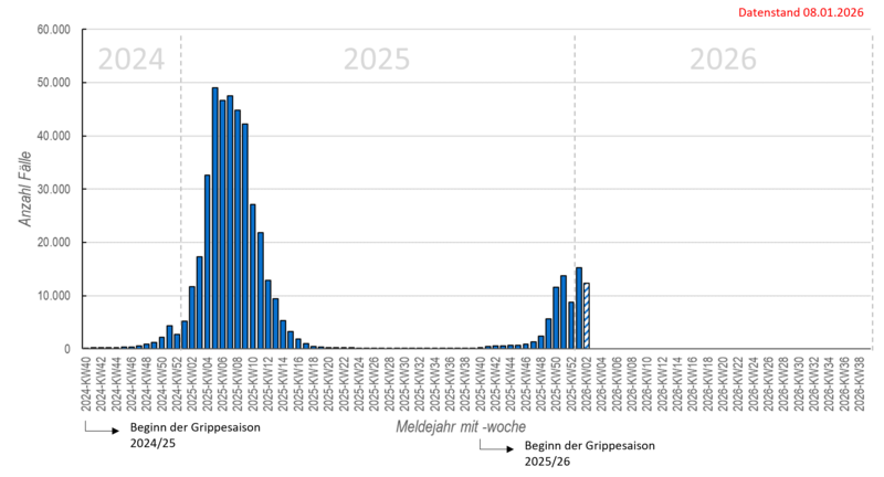 Säulendiagramm wöchentliche Influenzameldungen seit in der Saison 2024/25
