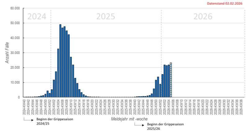 Wöchentliche Influenzameldungen seit der Grippesaison 2024/25 Säulendiagramm wöchentliche Influenzameldungen seit in der Saison 2024/25