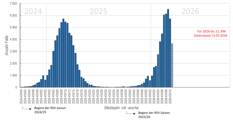 S&auml;ulendiagramm der w&ouml;chentlichen RSV-Meldungen seit der RSV-Saison 2024/25