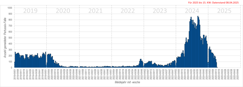 Säulendiagramm der wöchentlichen Meldungen von Keuchhusten in den Jahren 2019, 2020, 2021, 2022, 2023 und 2024