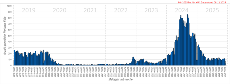 Säulendiagramm der wöchentlichen Meldungen von Keuchhusten seit 2019 Säulendiagramm der wöchentlichen Meldungen von Keuchhusten in den Jahren 2019 bis 2024