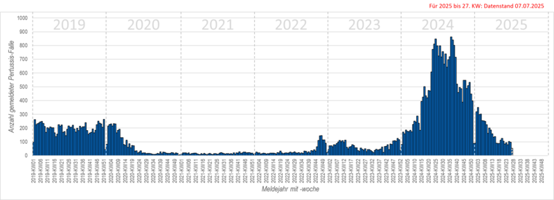 Säulendiagramm der wöchentlichen Meldungen von Keuchhusten in den Jahren 2019 bis 2024