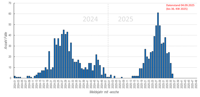 Säulendiagramm der wöchentlichen FSME-Meldungen in den Jahren 2024 und 2025