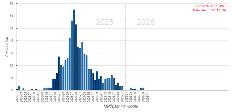 Wöchentlichen FSME-Meldungen seit 2025 Säulendiagramm der wöchentlichen FSME-Meldungen in den Jahren 2025 und 2026