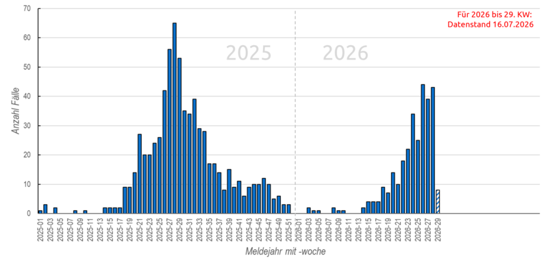 Wöchentlichen FSME-Meldungen seit 2025 Säulendiagramm der wöchentlichen FSME-Meldungen in den Jahren 2025 und 2026