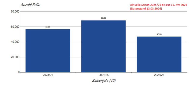S&auml;ulendiagramm saisonale RSV-Meldungen seit der Saison 2023/24 
