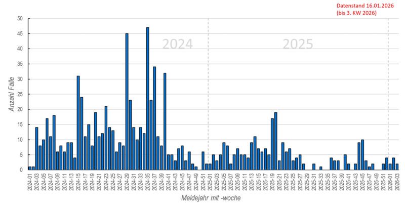 Wöchentliche Masernmeldungen in den Jahren 2024 und 2025 Säulendiagramm der wöchentlichen Masernmeldungen in den Jahren 2024 und 2025