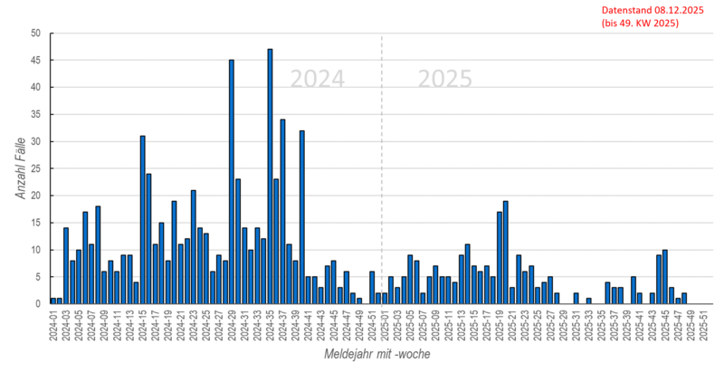 Säulendiagramm der wöchentlichen Masernmeldungen in den Jahren 2024 und 2025
