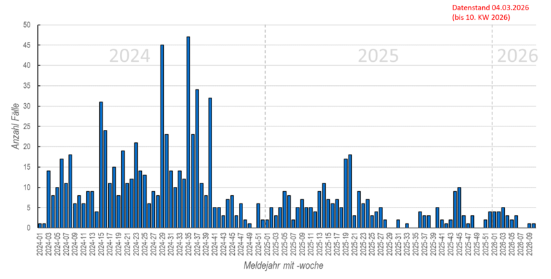 Säulendiagramm der wöchentlichen Masernmeldungen in den Jahren 2024 und 2025