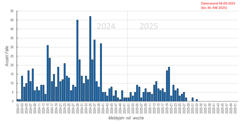 Säulendiagramm der wöchentlichen Masernmeldungen in den Jahren 2024 und 2025