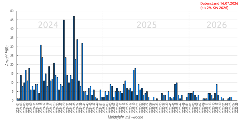 Wöchentliche Masernmeldungen seit 2024 Säulendiagramm der wöchentlichen Masernmeldungen in den Jahren 2024, 2025 und 2026