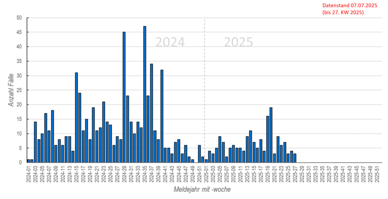 Säulendiagramm der wöchentlichen Masernmeldungen in den Jahren 2023 und 2024