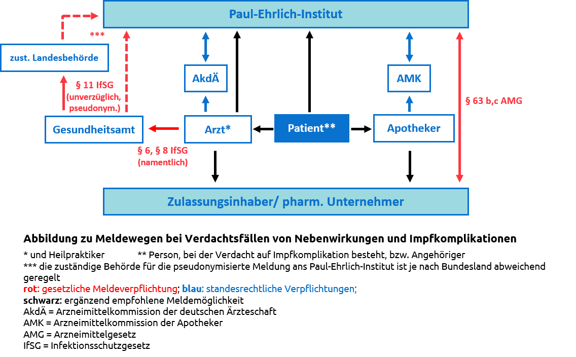 Die Grafik zeigt die gesetzlich vorgeschriebenen Meldewege in Deutschland bei Verdacht auf Impfschaden 