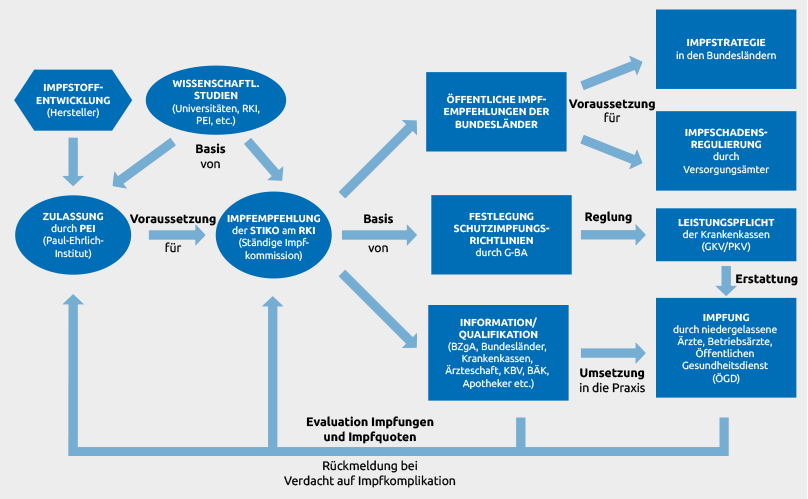 Die Grafik zeigt eine vereinfachte Darstellung der Organisation des Impfwesens in Deutschland mit verschiedenen Akteuren und Aufgaben